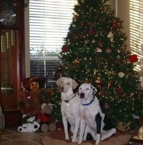 Meet your Posher, Barbara